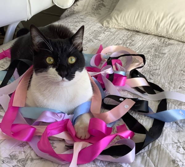 Gracie