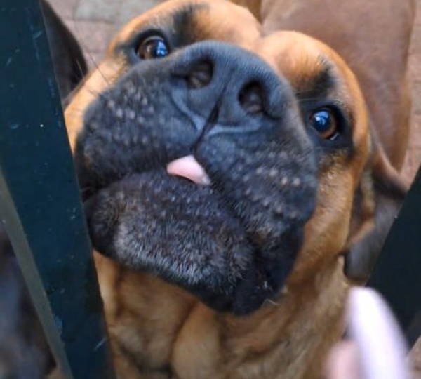Zeus