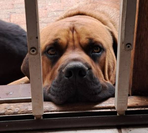 Zeus
