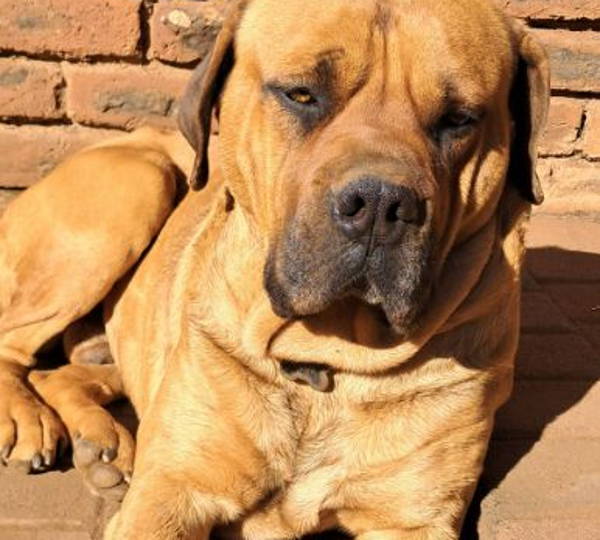 Zeus