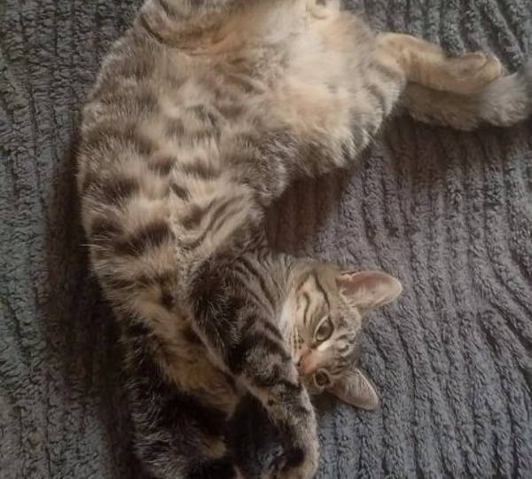 Snuggles