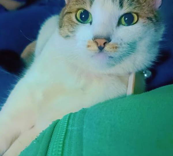 Xena