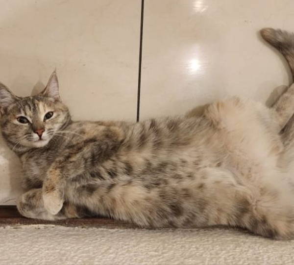 Luna