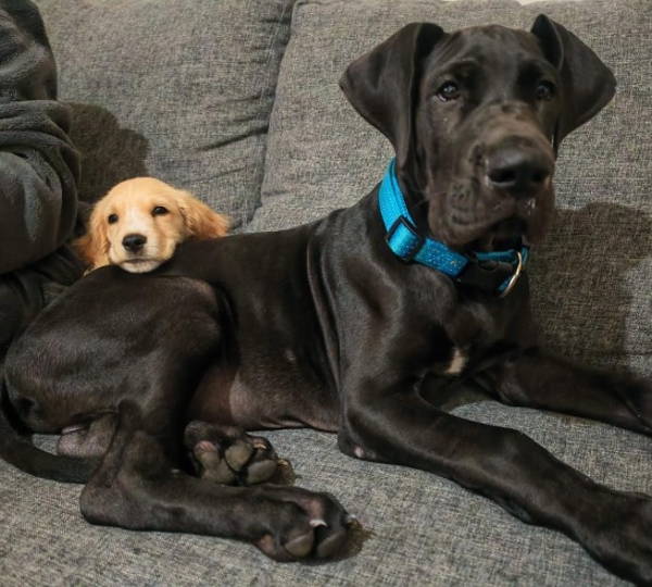 Jaco & Bently
