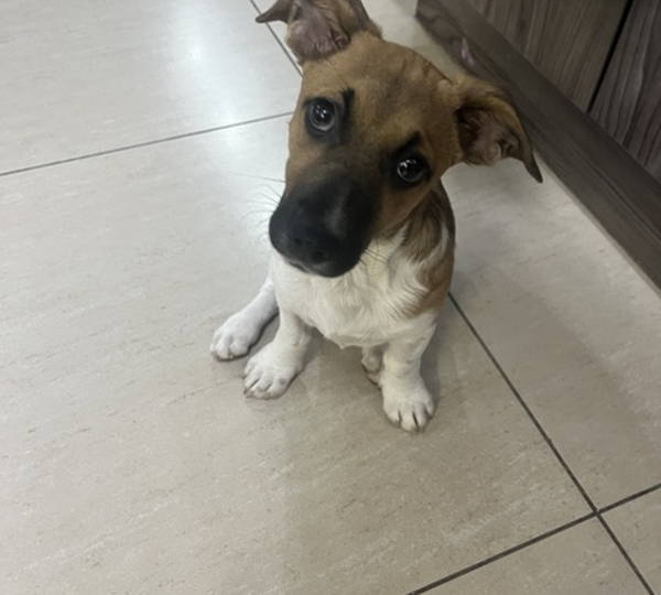 Mia