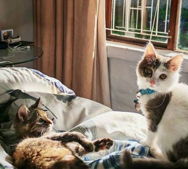 Nyx & Nemo