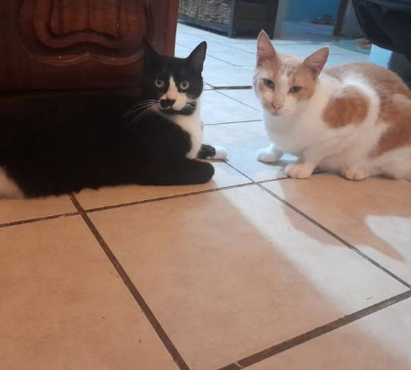 Toffee & Smudge