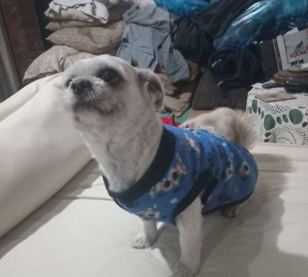 Oscar