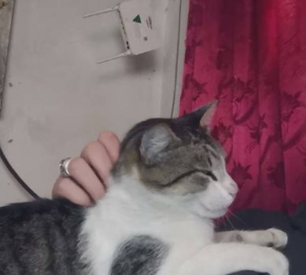 Zeus