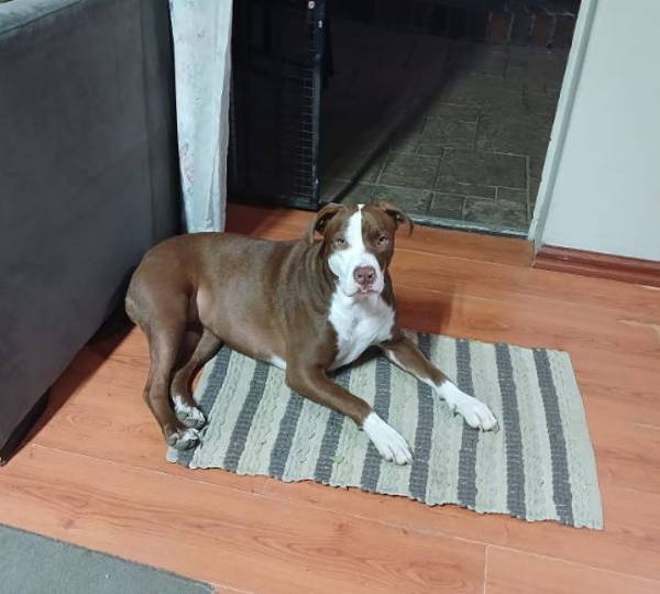 Athena