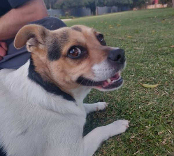 Lola
