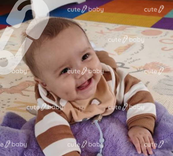 Raylan