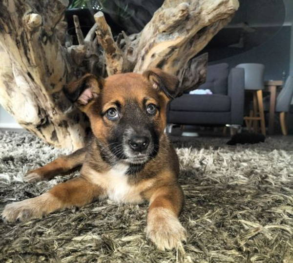 Bella
