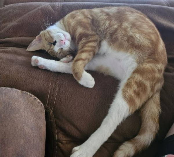 Luna