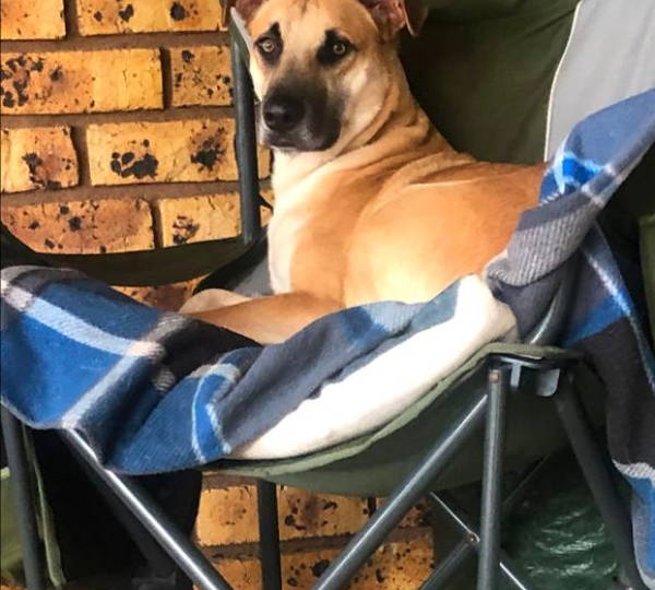 Gus