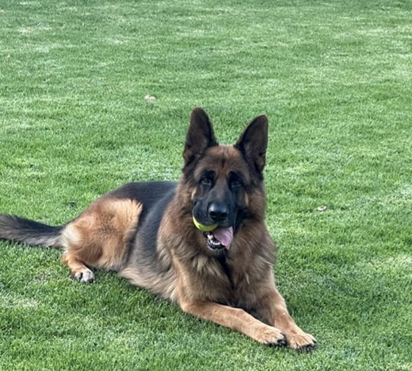 Kasper