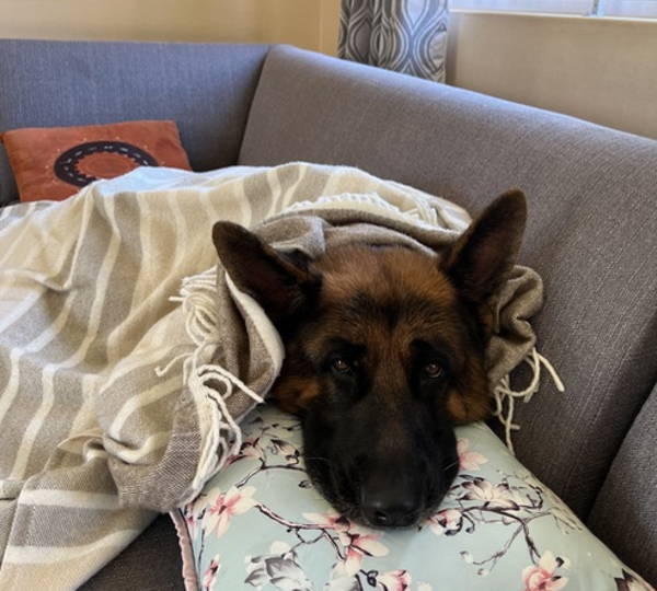 Kasper