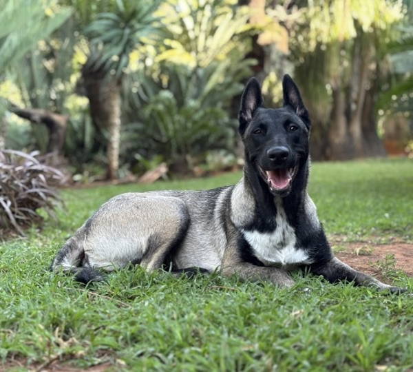 Hera