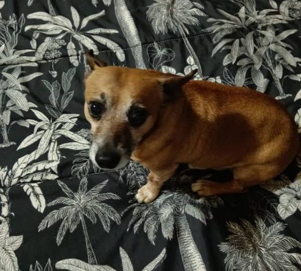 Mickey