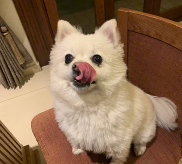 Zoe