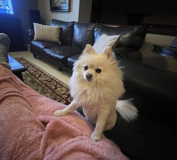 Zoe