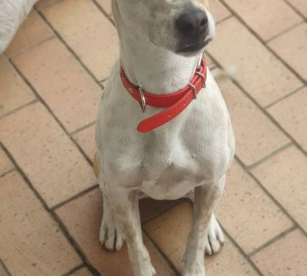 Chloe