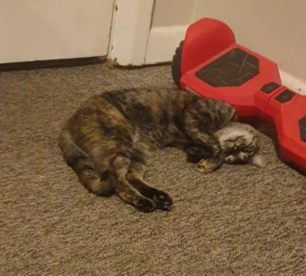 Mimi