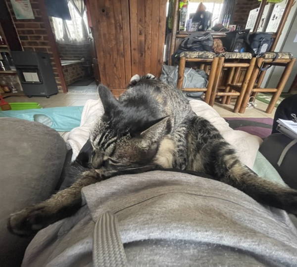Babetjie