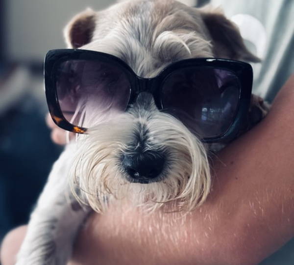 Fritz