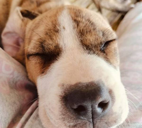 Rusty