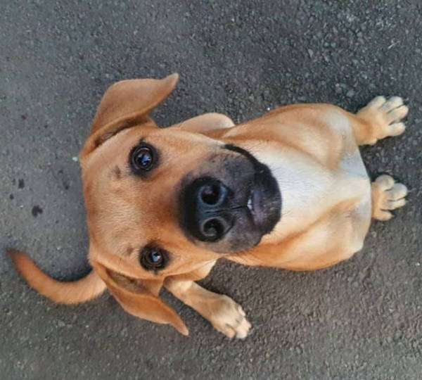 Zeus