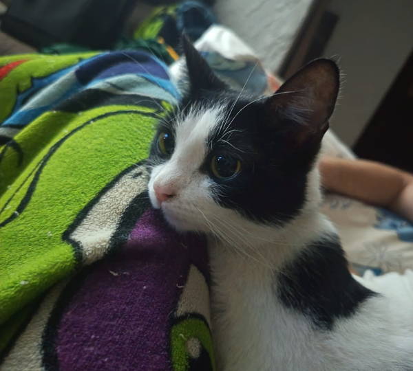 Luna
