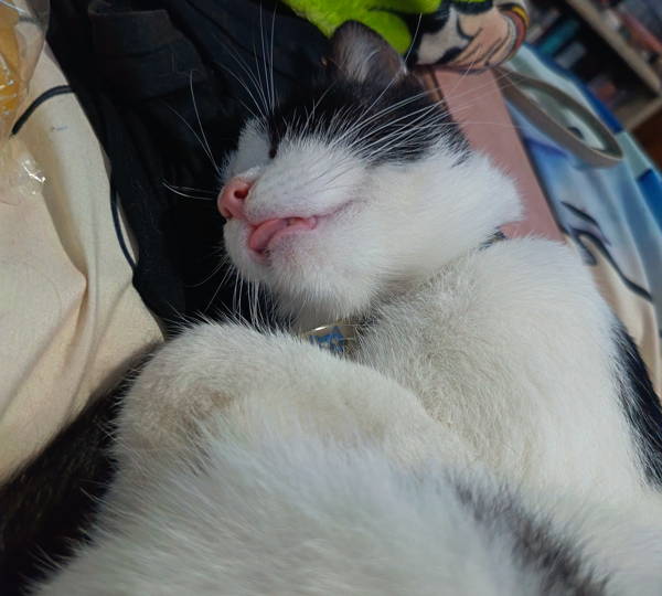 Luna