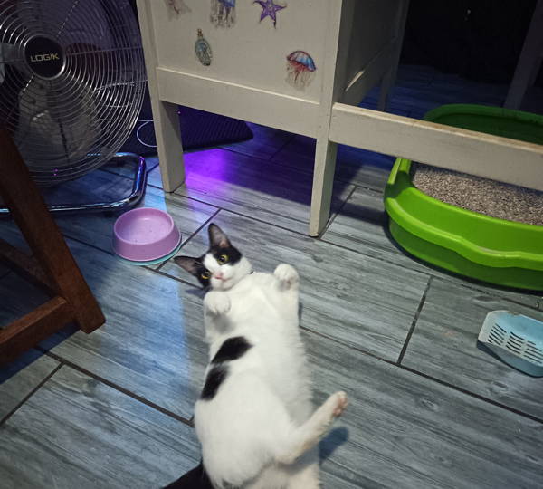 Luna