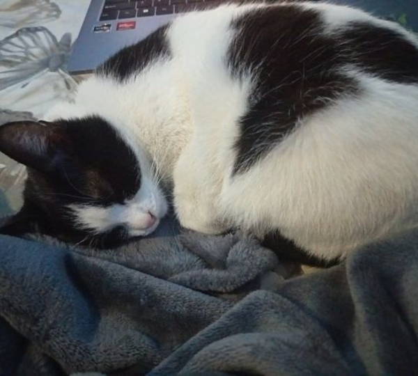 Luna