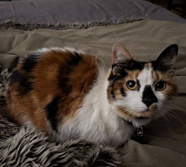 Freya