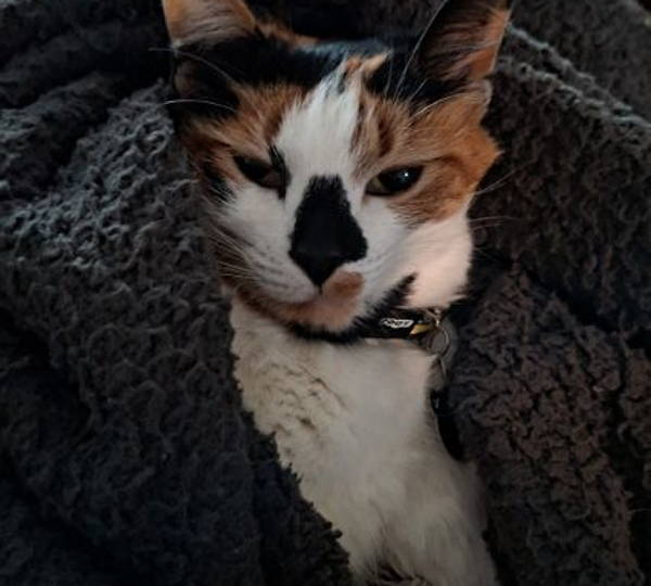 Freya