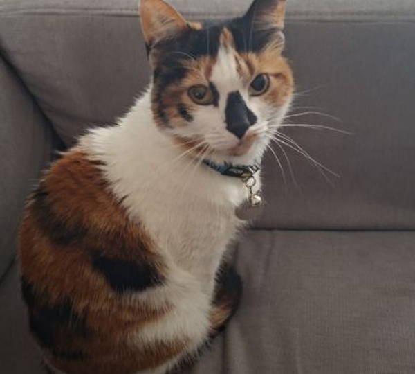 Freya