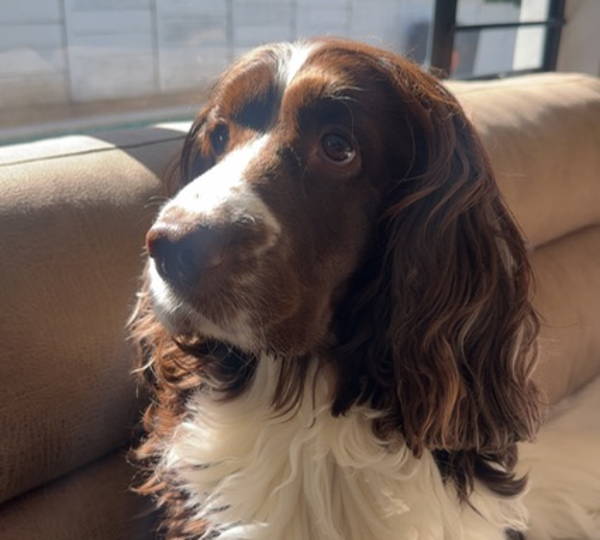 Pablo