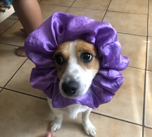 Sophie