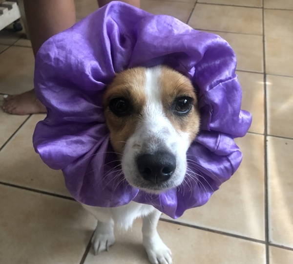 Sophie
