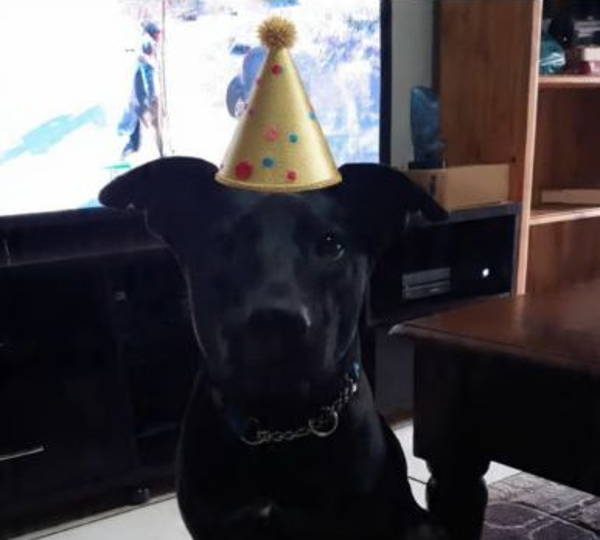 Onyx