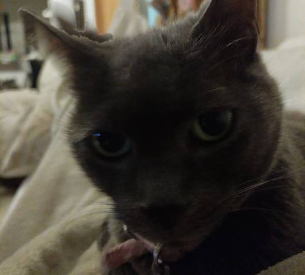 Tammy