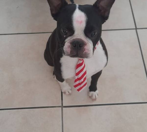 Max