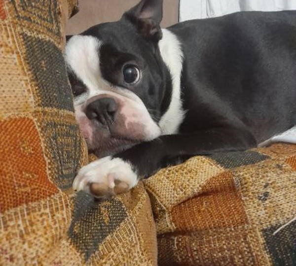 Max