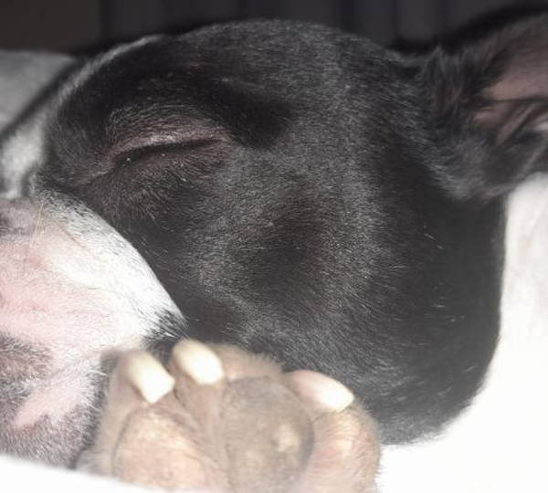 Max