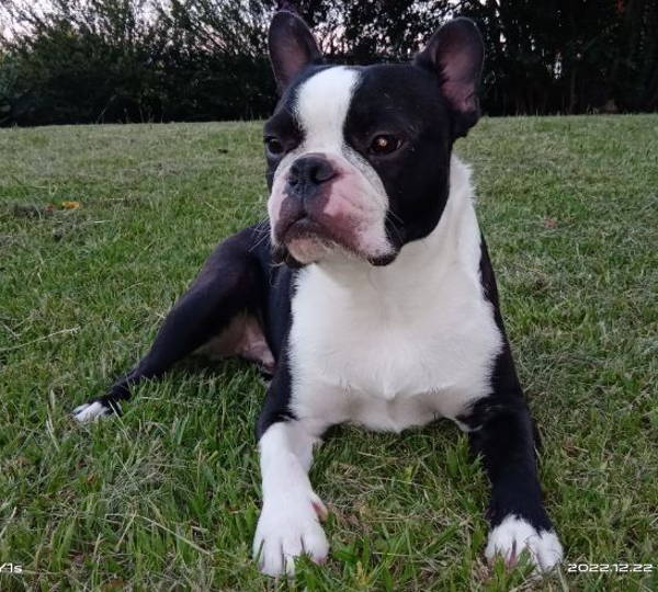Max