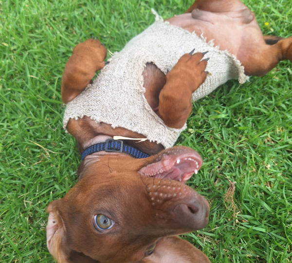 Gunther