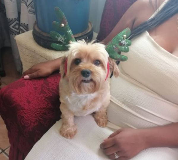 Daisy