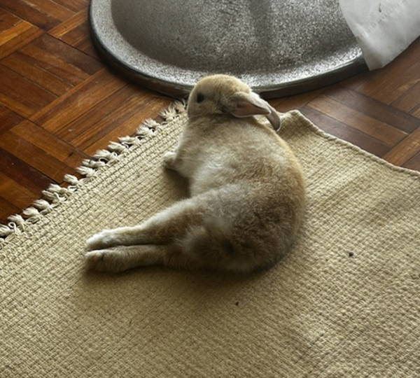 Elliot